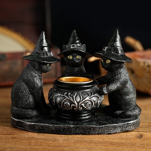 Halloween witch cat - halloween,
