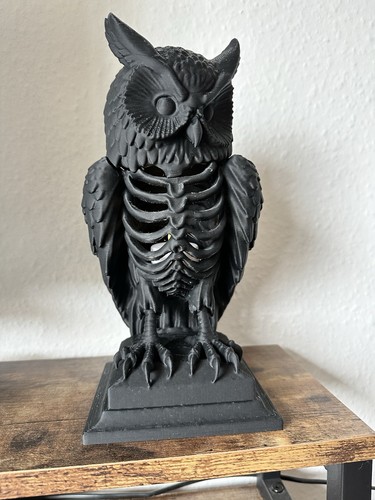 Gothic skeleton owl - skeleton,